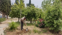 پویش درختکاری به نیابت از شهدای جنگ تحمیلی در دانشکده پیراپزشکی استهبان